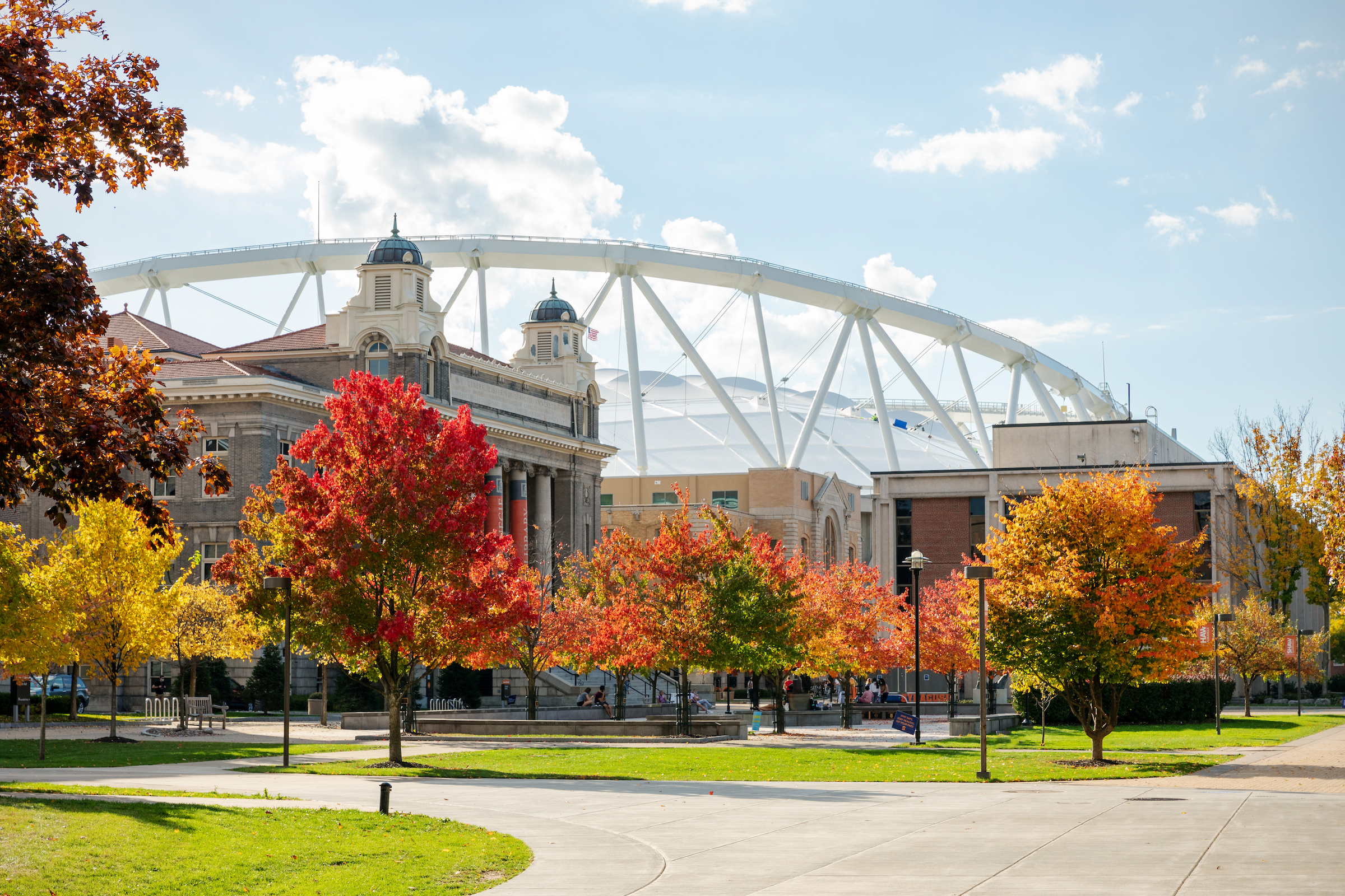 Fall colors on trees in Shaw Quad