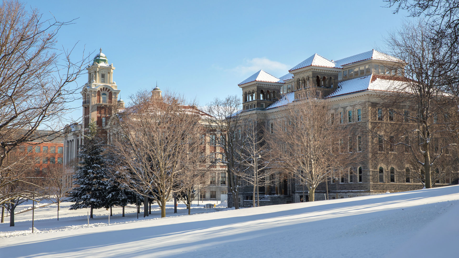 View of campus in the winter